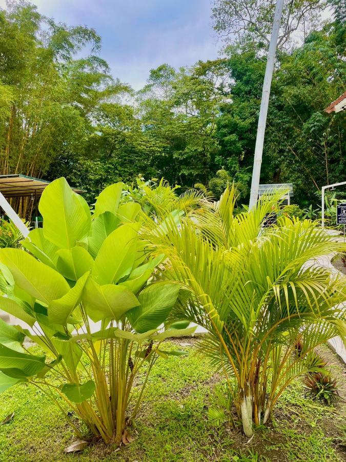 Hotel Grand Park Manuel Antonio Quepos Exterior foto